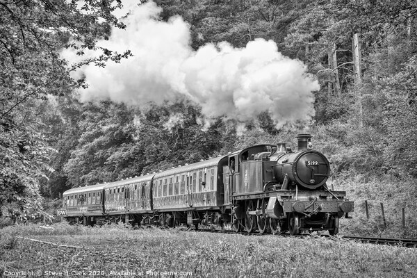 The Branch Line - Black and White Picture Board by Steve H Clark