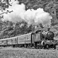 Buy canvas prints of The Branch Line - Black and White by Steve H Clark