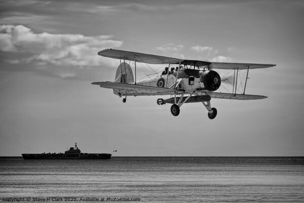 Fairey Swordfish - Black and White Picture Board by Steve H Clark