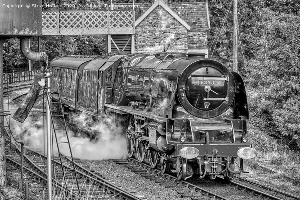 Duchess of Sutherland - Black and White Picture Board by Steve H Clark