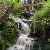 Buy canvas prints of The Bronte Waterfall by Steve H Clark