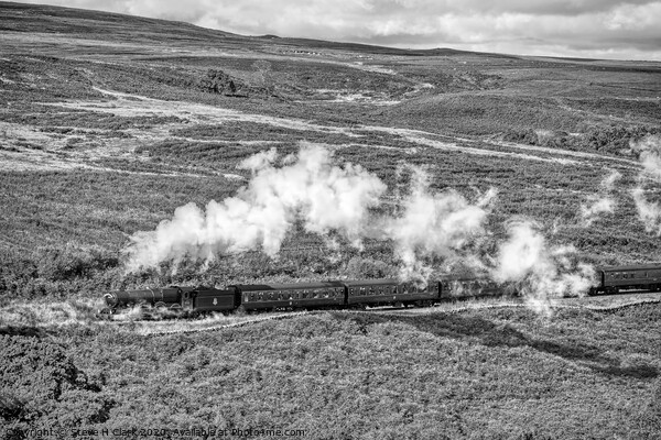 King Edward II On The Moors - Black and White Picture Board by Steve H Clark