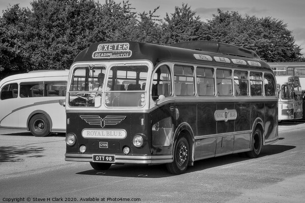 Royal Blue Coach Service - Black and White  Picture Board by Steve H Clark