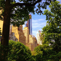 Buy canvas prints of New York through central park by David Basset