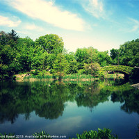 Buy canvas prints of Central park lake by David Basset