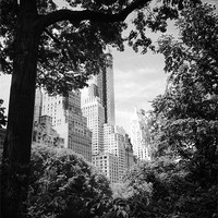 Buy canvas prints of New york view central park by David Basset