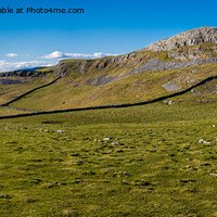 Buy canvas prints of Smearsett Scar above Stainforth in the Yorkshire Dales by Peter Stuart
