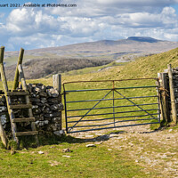 Buy canvas prints of Ingleborough above the village of Feizer in the Yorkshire Dales by Peter Stuart