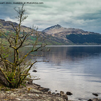 Buy canvas prints of Ben Lomond a Munro on the side of loch Lomond by Peter Stuart