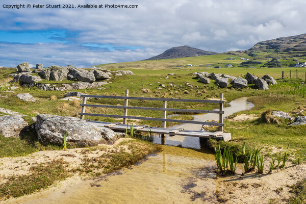 Borve Beach and Camping site on the isle of Barra Picture Board by Peter Stuart
