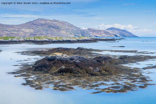 Prince's Beach is located on the west side of the Isle of Eriska Picture Board by Peter Stuart