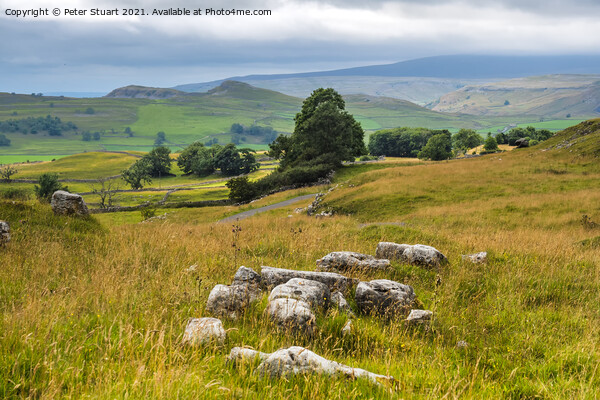 Smearsett Scar from Winskill Stones above Langcliffe. Picture Board by Peter Stuart
