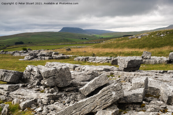 Pen-y-ghent from Winskill Stones above Langcliffe Picture Board by Peter Stuart