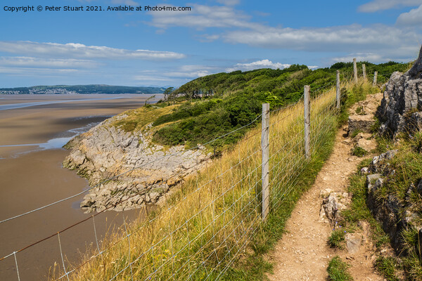 The Lancashire Way at Silverdale and Arnside  Picture Board by Peter Stuart
