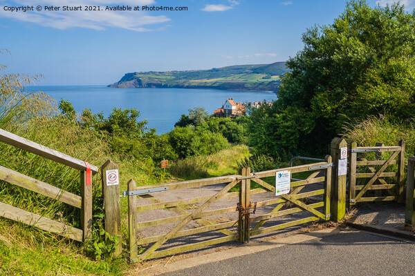 Robin Hoods Bay in North Yorkshire Picture Board by Peter Stuart