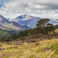 Buy canvas prints of Glen affric and the Kintail way by Peter Stuart
