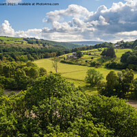 Buy canvas prints of The river Tyne close to Lambley viaduct in Northumbria by Peter Stuart