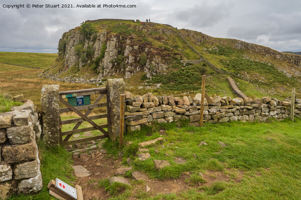 Peel Crags above Once Brewed on Hadrian's Wall Walk Picture Board by Peter Stuart