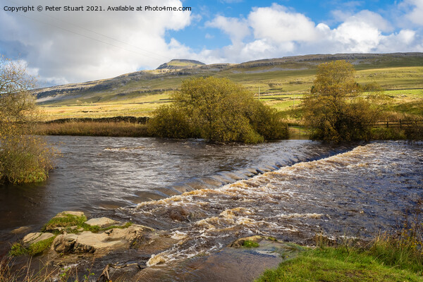 The river Doe near the Beezley Falls above Ingleton Waterfall Trail Picture Board by Peter Stuart