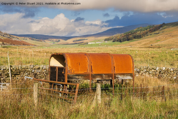 rotting trailer in kingsdale Picture Board by Peter Stuart