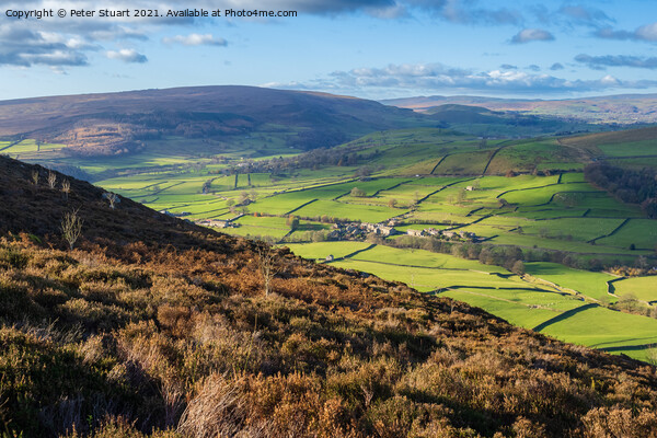 View from the Simon's Seat in the Yorkshire Dales Picture Board by Peter Stuart