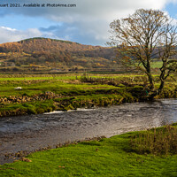 Buy canvas prints of Walking on the Ribble Way betwwen Langcliffe and Rathmell in the by Peter Stuart