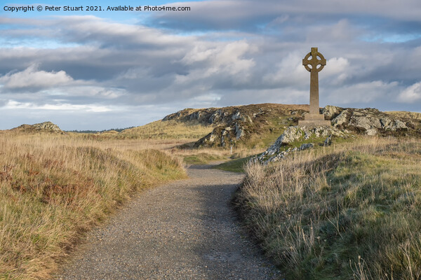 Twr Mawr, Anglesey, Gwynedd, North Wales, UK. Picture Board by Peter Stuart