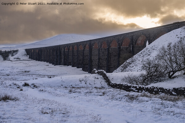 Ribblehead Viaduct Yorkshire Dales Picture Board by Peter Stuart