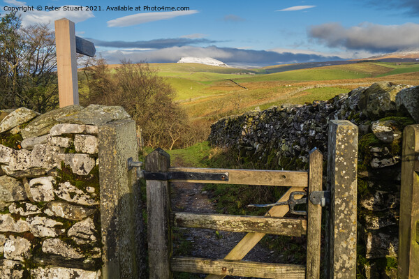 Hill walking between Langcliffe, Attermire Scar and Settle via t Picture Board by Peter Stuart
