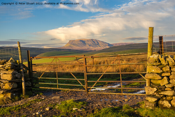 Pen-Y-Ghent from above Stainforth in the Yorkshire Dales Picture Board by Peter Stuart