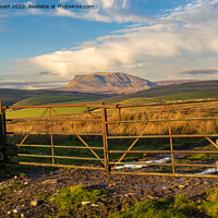 Buy canvas prints of Pen-Y-Ghent from above Stainforth in the Yorkshire Dales by Peter Stuart