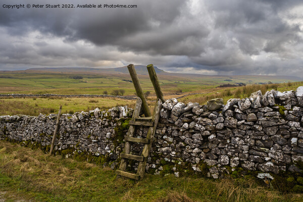 Hill walking around Horton in Ribblesdale in the Yorkshire Dales Picture Board by Peter Stuart
