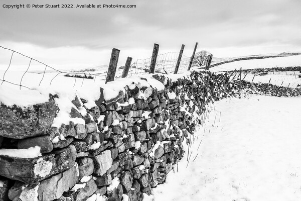 Winter snows on Pen-Y-Ghent Picture Board by Peter Stuart
