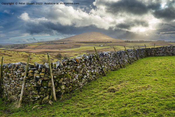Limestine boulders in front of Park Fell near to Ribblehead in t Picture Board by Peter Stuart