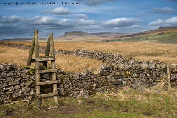 Walking the Settle Loop above Settle and Langcliffe in the Yorks Picture Board by Peter Stuart