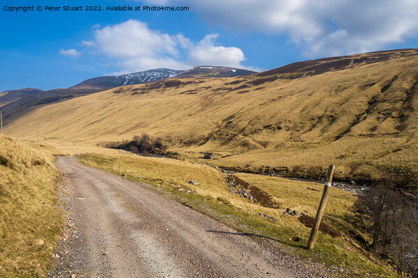 Glen Tilt is a special valley in the Cairngorms of Scotland. Picture Board by Peter Stuart