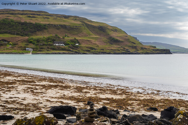 Calgary bay on the isle of mull Picture Board by Peter Stuart