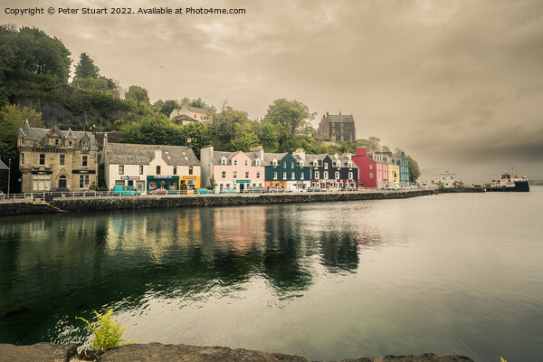 Tobermory Harbour on the isle of mull Picture Board by Peter Stuart