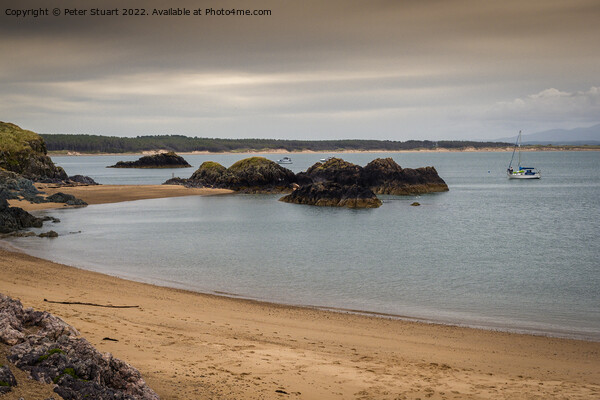 Llanddwyn Island Anglesey. Picture Board by Peter Stuart