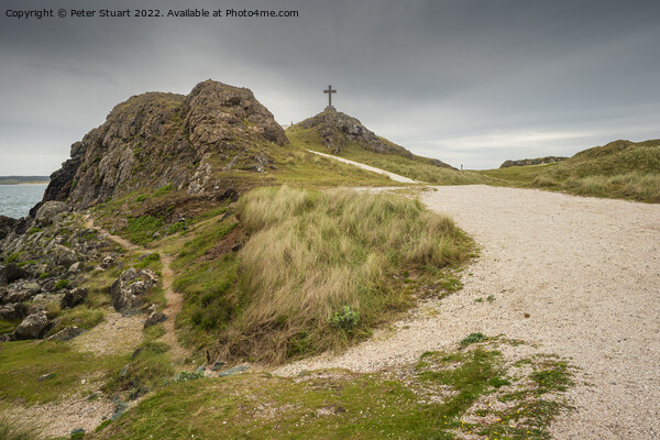 The stone cross overlooks the Llanddwyn beaches and lighthouses  Picture Board by Peter Stuart