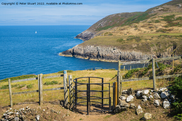 Walking on the Welsh Coast Path around Aberdaron on the Llyn Pen Picture Board by Peter Stuart