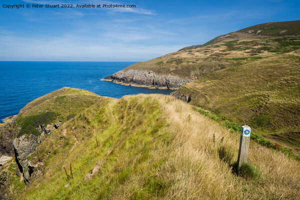 Walking on the Welsh Coast Path around Aberdaron on the Llyn Pen Picture Board by Peter Stuart
