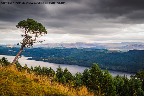 Viewpoint  on the Great Glen Way near to Invermoritson in the Sc Picture Board by Peter Stuart