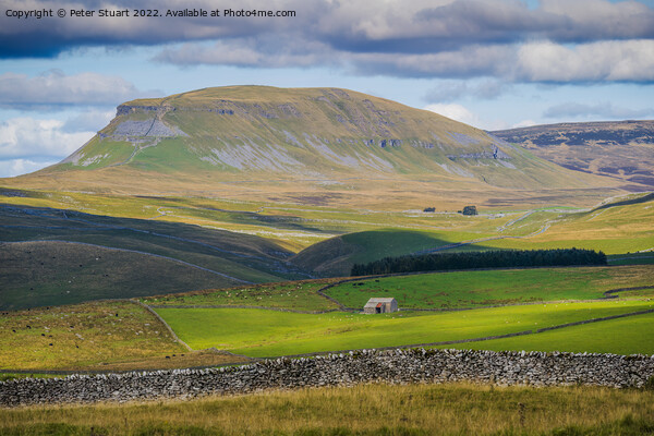 Pen-y-ghent from near to Winskill Stones above Stainforth in the Picture Board by Peter Stuart