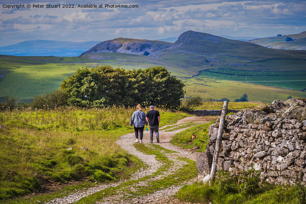 Walking in the Yorkshire Dales above Stainforth in Craven near S Picture Board by Peter Stuart