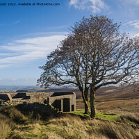 Buy canvas prints of Walking from Haworth to Top Withens and Wuthering Heights by Peter Stuart