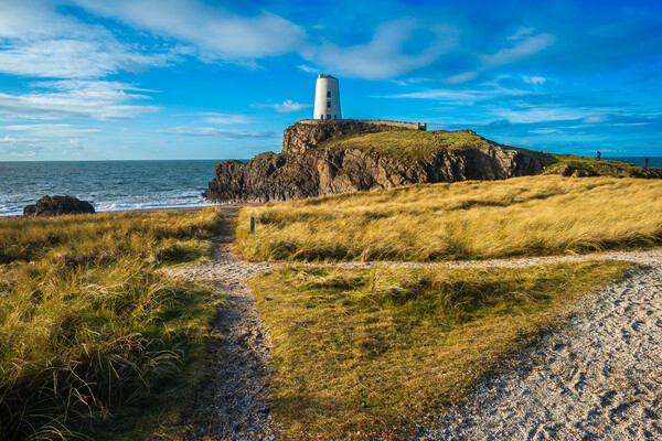 Twr Mawr lighthouse Picture Board by Peter Stuart