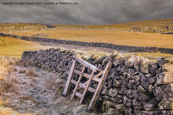 Winter walking from Langcliffe to Settle in the Yorkshire Dales Picture Board by Peter Stuart