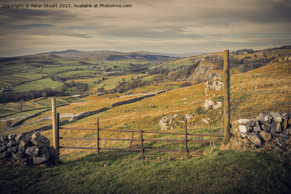 Ingleborourough and Smearsett Scar from langcliffe in the Yorkshire dales Picture Board by Peter Stuart