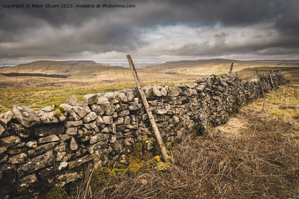 Wild Boar Fell and Archy Styrigg in the Yorkshire Dales near to  Picture Board by Peter Stuart